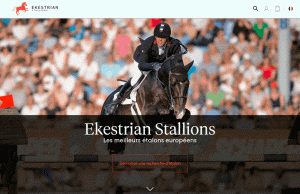 Visuel Market place ekestrian